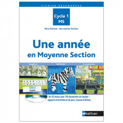 Une année en moyenne section