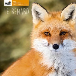 Le renard