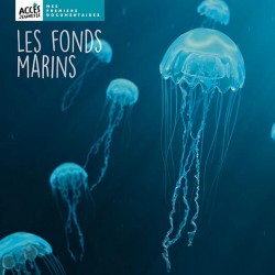 Les fonds marins