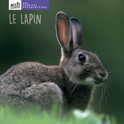 Le Lapin