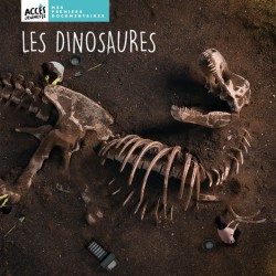 Les dinosaures